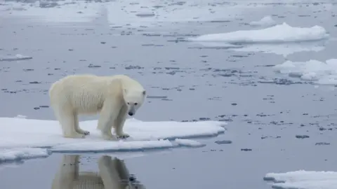 Climate Change’s Unequal Impact on Vulnerable Nations