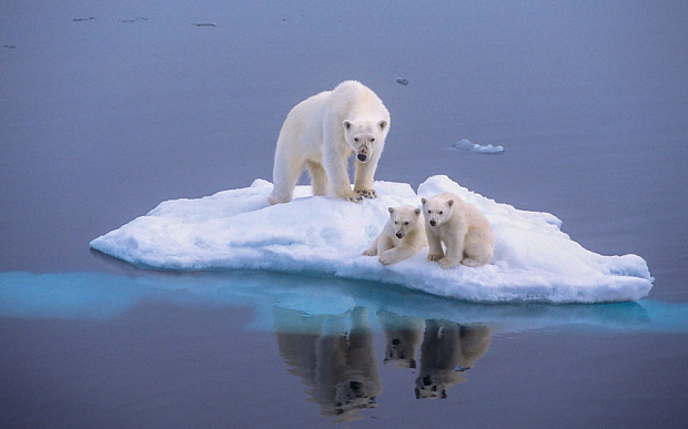 Three Tough Truths About Climate Change